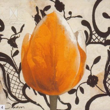 Obrazy  JO Orange Tulip, Joadoor