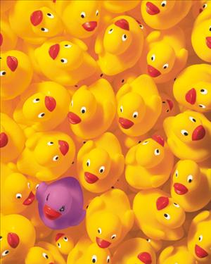 Reprodukce - Dětské & Komiks - Quack Quack I, Dave Brüllmann