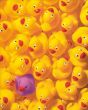 Reprodukce - Dětské & Komiks - Quack Quack I