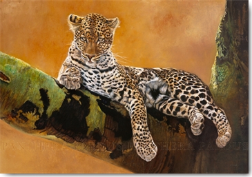 Reprodukce - Etno - Léopard du Serengeti, Danielle Beck