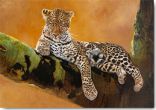 Reprodukce - Etno - Léopard du Serengeti