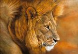 Reprodukce - Etno - Lion du Serengeti