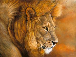 Reprodukce - Etno - Lion du Serengeti, Danielle Beck