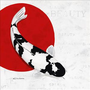 Reprodukce - Etno - Splashing Beauty Shiro Utsuri, Nicole Gruhn