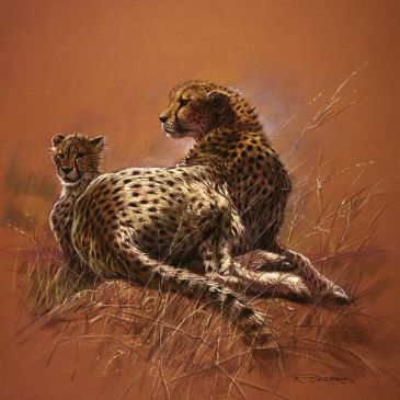 Reprodukce - Exclusive - Cheetah Mother, Renato Casaro