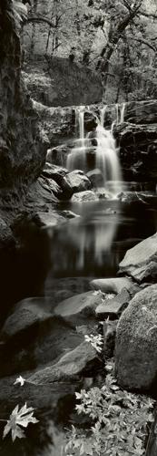 Reprodukce - Fotografie - Coquille River - Oregon - USA, Helmut Hirler