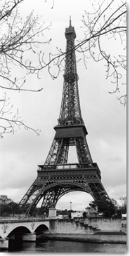 Reprodukce - Fotografie - Eiffel Tower - Paris, France, Manuela Hoefer