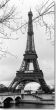 Reprodukce - Fotografie - Eiffel Tower - Paris, France