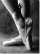 Reprodukce - Fotografie - Feet of Ballet Dancer
