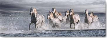 Reprodukce - Fotografie - Horses Running at the Beach, Jorge Llovet