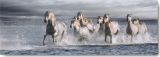 Reprodukce - Fotografie - Horses Running at the Beach