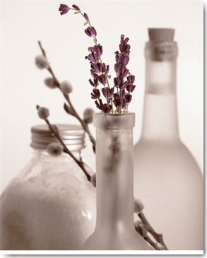 Reprodukce - Fotografie - Lavender Bottles, Julie Greenwood