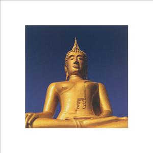 Reprodukce - Fotografie - OM / Golden Buddha, Anonymous