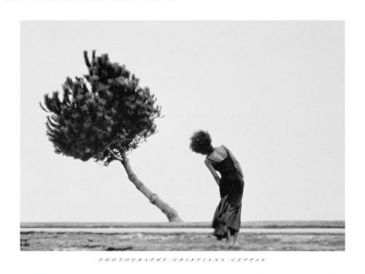 Reprodukce - Fotografie - The Tree, Ceppas