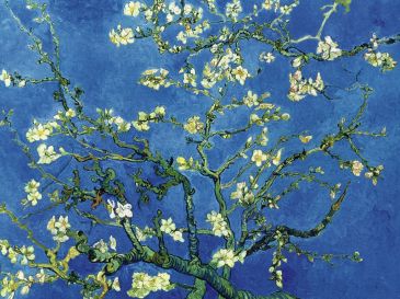 Reprodukce - Impresionismus - Branch of an almond tree, Vincent van Gogh