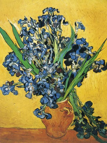 Reprodukce - Impresionismus - Les iris, Vincent van Gogh