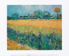 Reprodukce - Impresionismus - Vista di Arles con irises