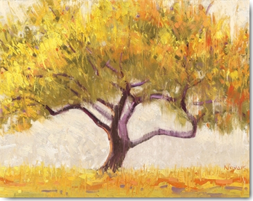 Reprodukce - Krajiny - Apricot Tree, Shirley Novak
