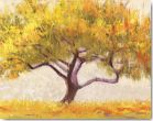 Reprodukce - Krajiny - Apricot Tree