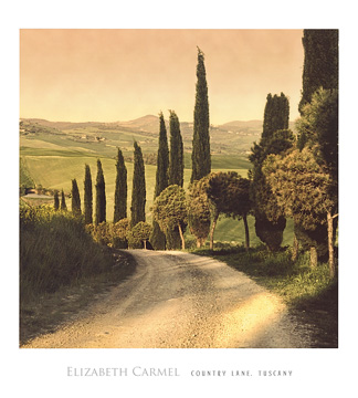 Reprodukce - Krajiny - Country Lane, Tuscany, Elisabeth Carmel