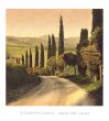 Reprodukce - Krajiny - Country Lane, Tuscany