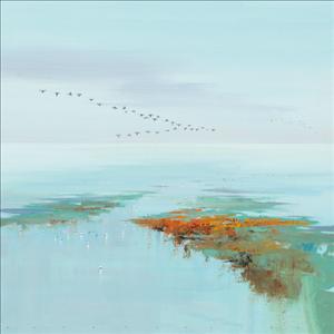 Reprodukce - Krajiny - Flying Birds, Jan Groenhart