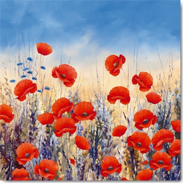 Reprodukce - Krajiny - Sunset Poppies, Hilary Mayes