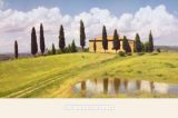 Reprodukce - Krajiny - Tuscan Hillside #5
