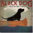 Reprodukce - Kultovní & Pop Art & Vinobraní - Black Dog Canoe