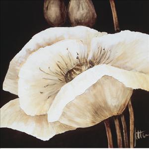 Reprodukce - Květiny - Amazing Poppies I, Jettie Roseboom
