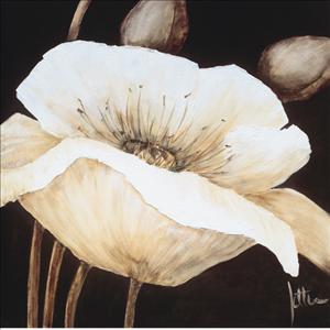 Reprodukce - Květiny - Amazing Poppies II, Jettie Roseboom