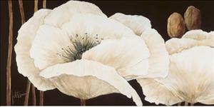 Reprodukce - Květiny - Amazing Poppies III, Jettie Roseboom
