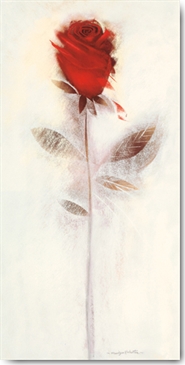 Reprodukce - Květiny - Burgundy III English Rose, Marilyn Robertson