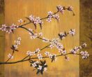 Reprodukce - Květiny - Cherry Blossoms