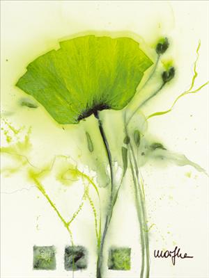 Reprodukce - Květiny - Coquelicot vert I, Marthe