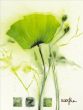 Reprodukce - Květiny - Coquelicot vert I