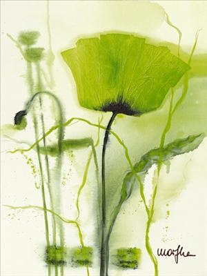 Reprodukce - Květiny - Coquelicot vert II, Marthe