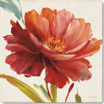 Reprodukce - Květiny - Dancing Colors I, Lisa Audit