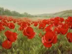 Reprodukce - Květiny - Field of Poppies