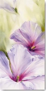 Reprodukce - Květiny - Hibiscus, Annette Schmucker
