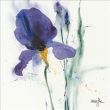 Reprodukce - Květiny - Iris I