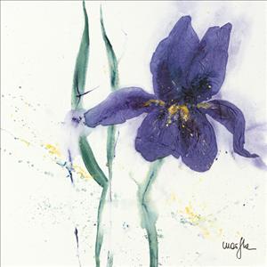 Reprodukce - Květiny - Iris II, Marthe