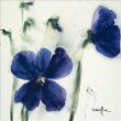 Reprodukce - Květiny - Les Pensées III