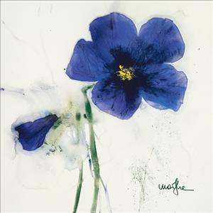Reprodukce - Květiny - Les Pensées IV, Marthe