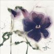 Reprodukce - Květiny - Les Pensées V