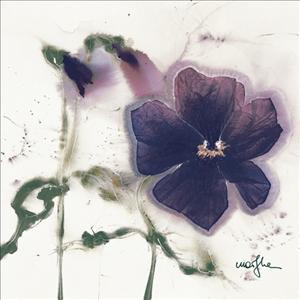 Reprodukce - Květiny - Les Pensées V, Marthe