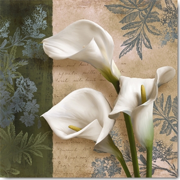 Reprodukce - Květiny - Lily Fair, Conrad Knutsen