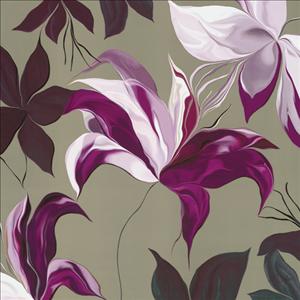 Reprodukce - Květiny - Lily XXII, Sally Scaffardi