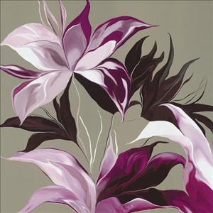 Reprodukce - Květiny - Lily XXIII, Sally Scaffardi