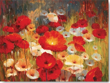 Reprodukce - Květiny - Meadow Poppies, Lucas Santini